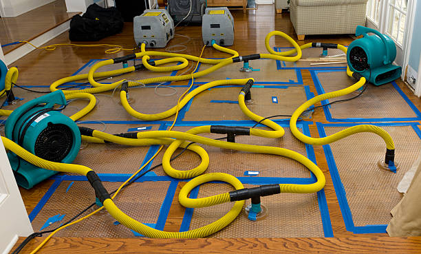Professional Basement Flood Cleanup technician working in Hebron, PA